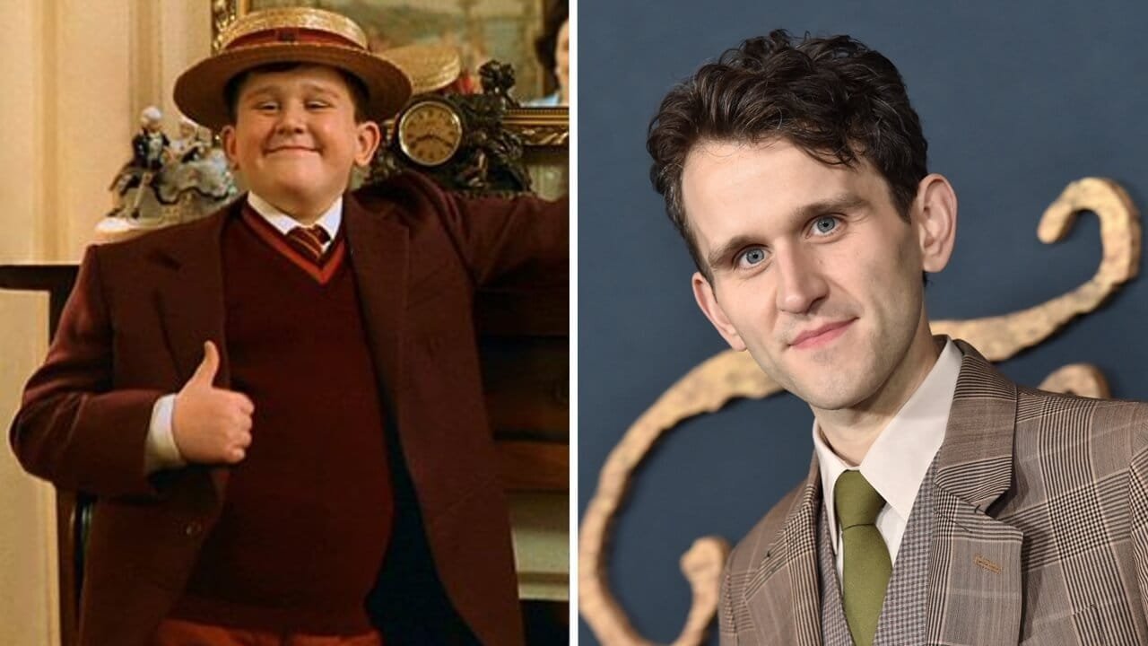 Harry Melling - Dudley Dursley