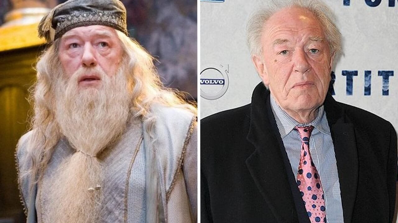 Michael Gambon - Alvo Dumbledore